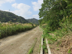 http://yannaki.jp/gazou01/24su2.JPG